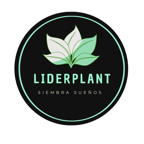 Liderplant