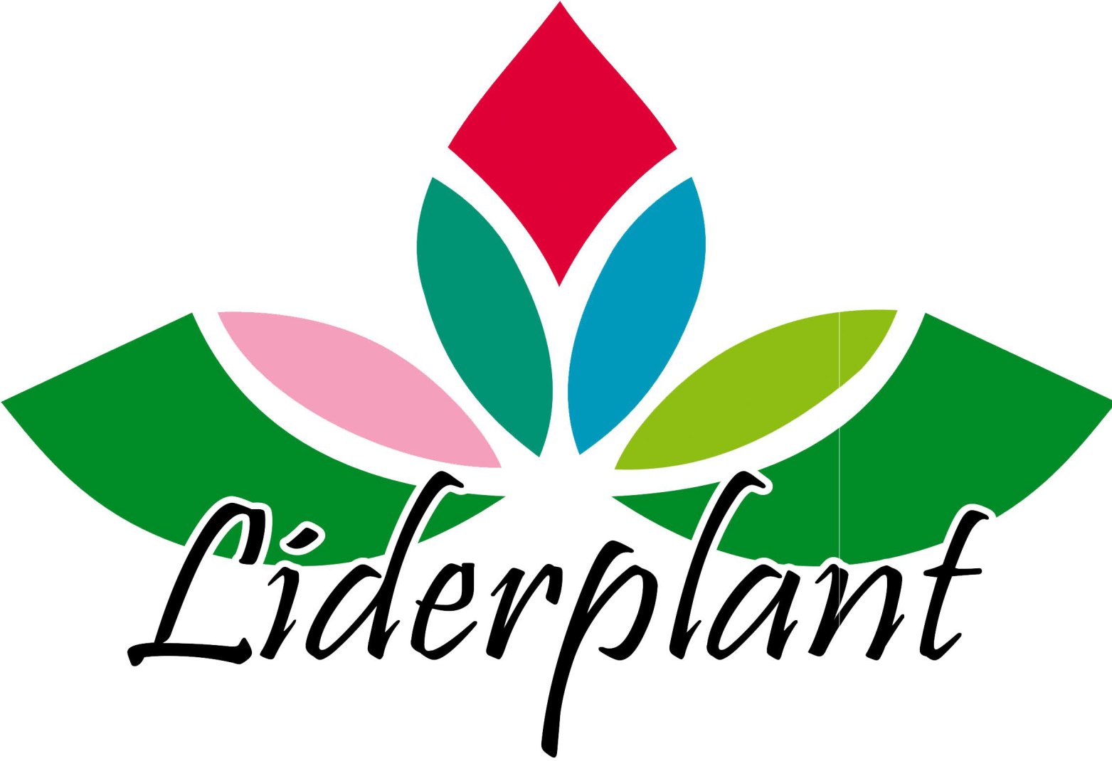 Liderplant - Tienda de Plantas Online