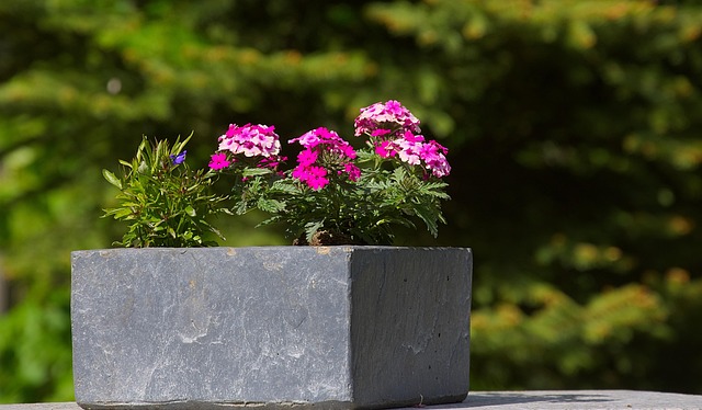 Conjunto de Jardineras Orzas al estilo Chorrete
